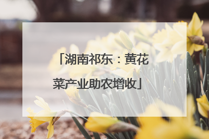 湖南祁东：黄花菜产业助农增收
