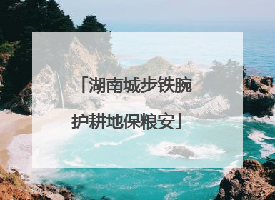 湖南城步铁腕护耕地保粮安