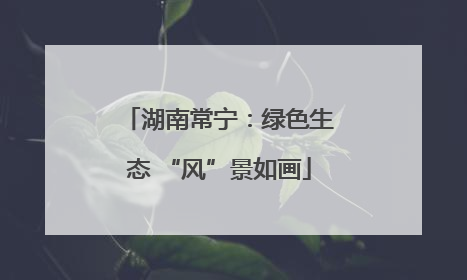 湖南常宁：绿色生态 “风”景如画