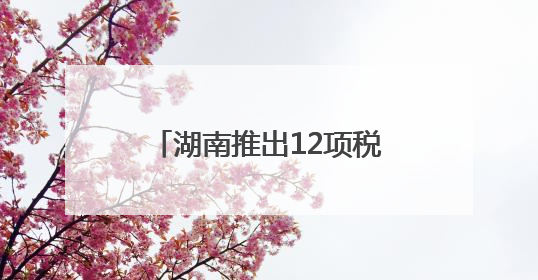 湖南推出12项税务新政！减税降费、便民办税，为民企发展“减负加油”