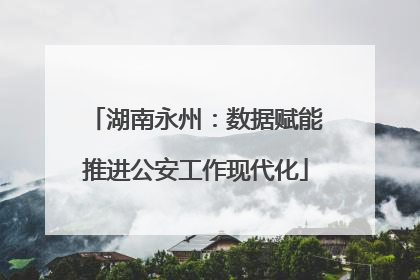 湖南永州：数据赋能推进公安工作现代化