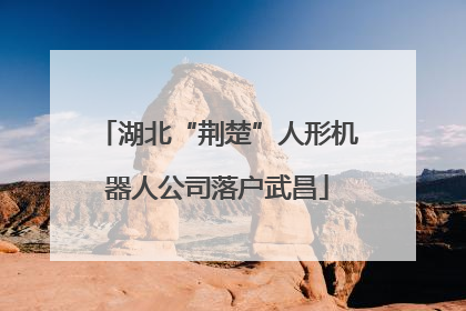 湖北“荆楚”人形机器人公司落户武昌