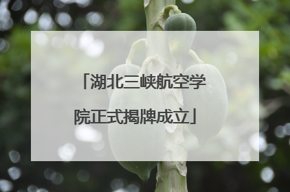 湖北三峡航空学院正式揭牌成立