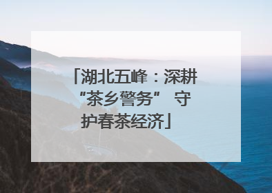 湖北五峰：深耕“茶乡警务” 守护春茶经济
