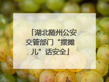 湖北随州公安交管部门“摆摊儿”话安全