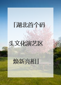 湖北首个码头文化演艺区焕新亮相