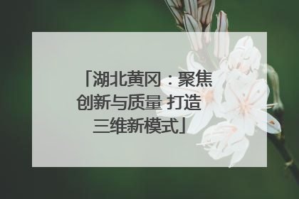 湖北黄冈：聚焦创新与质量 打造三维新模式