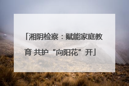 湘阴检察：赋能家庭教育 共护“向阳花”开