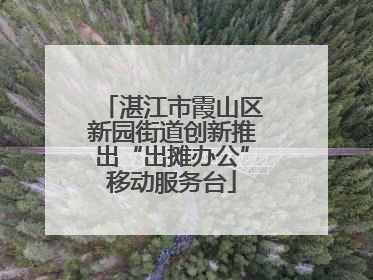 湛江市霞山区新园街道创新推出“出摊办公”移动服务台