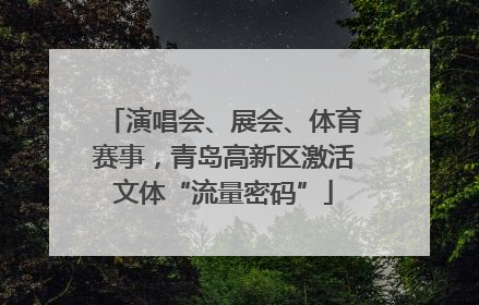 演唱会、展会、体育赛事，青岛高新区激活文体“流量密码”