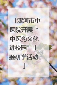 漯河市中医院开展“中医药文化进校园”主题研学活动