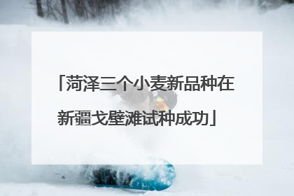 菏泽三个小麦新品种在新疆戈壁滩试种成功