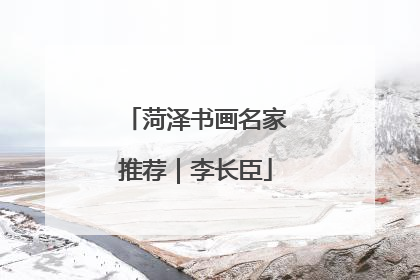 菏泽书画名家推荐｜李长臣