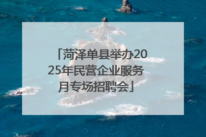 菏泽单县举办2025年民营企业服务月专场招聘会