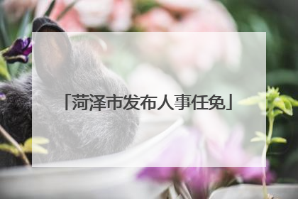 菏泽市发布人事任免