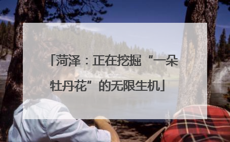 菏泽：正在挖掘“一朵牡丹花”的无限生机