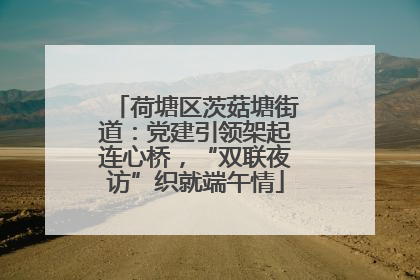 荷塘区茨菇塘街道：党建引领架起连心桥，“双联夜访”织就端午情
