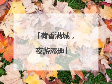 荷香满城，夜游添趣