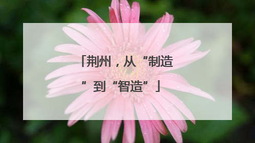 荆州，从“制造”到“智造”