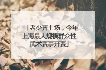 老少齐上场，今年上海最大规模群众性武术赛事开赛
