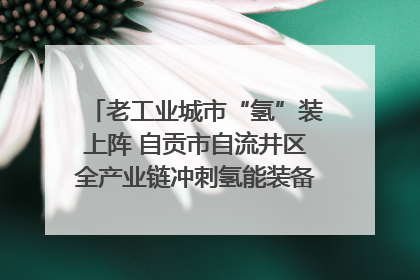 老工业城市“氢”装上阵 自贡市自流井区全产业链冲刺氢能装备制造新高地｜美好生活有“盐”味