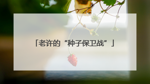 老许的“种子保卫战”