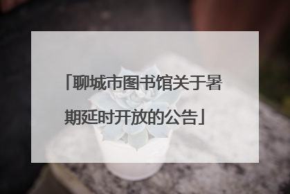 聊城市图书馆关于暑期延时开放的公告