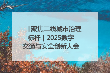 聚焦二线城市治理标杆｜2025数字交通与安全创新大会在保定隆重开幕