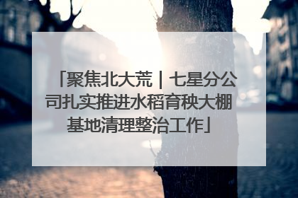 聚焦北大荒｜七星分公司扎实推进水稻育秧大棚基地清理整治工作
