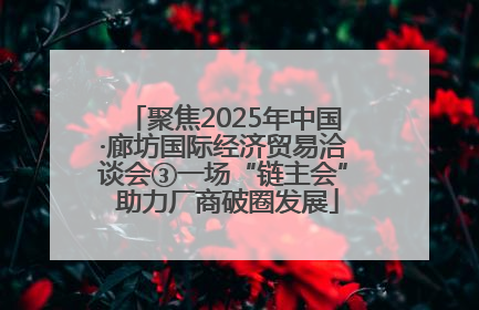 聚焦2025年中国·廊坊国际经济贸易洽谈会③一场“链主会” 助力厂商破圈发展