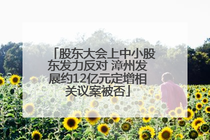 股东大会上中小股东发力反对 漳州发展约12亿元定增相关议案被否