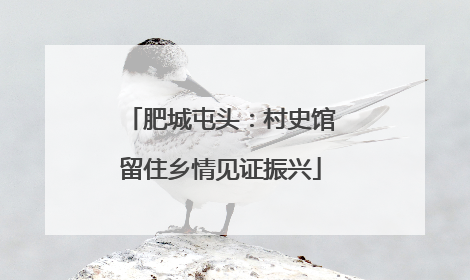 肥城屯头：村史馆留住乡情见证振兴