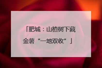 肥城：山楂树下藏金薯“一地双收”