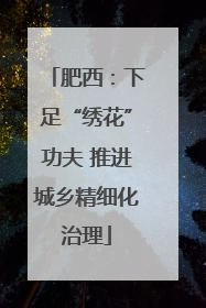 肥西：下足“绣花”功夫 推进城乡精细化治理