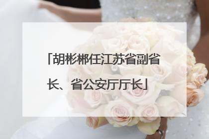 胡彬郴任江苏省副省长、省公安厅厅长