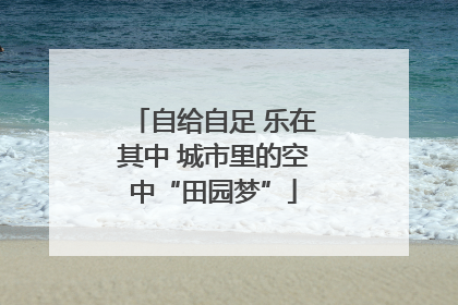 自给自足 乐在其中 城市里的空中“田园梦”