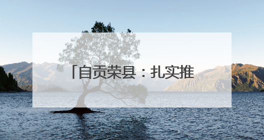 自贡荣县：扎实推进社会组织领域突出问题专项整治