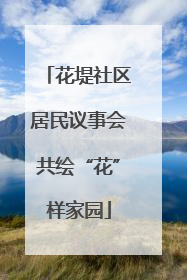 花堤社区居民议事会共绘“花”样家园