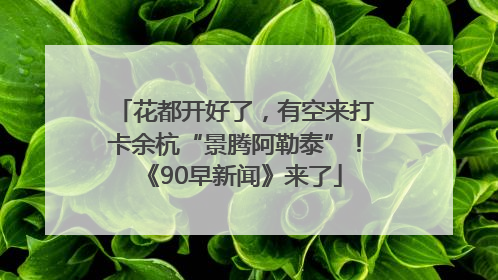 花都开好了，有空来打卡余杭“景腾阿勒泰”！《90早新闻》来了