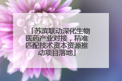 苏滨联动深化生物医药产业对接，精准匹配技术资本资源推动项目落地