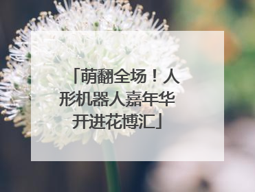萌翻全场！人形机器人嘉年华开进花博汇