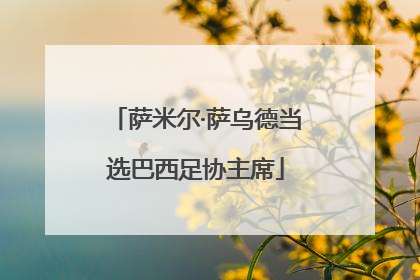 萨米尔·萨乌德当选巴西足协主席