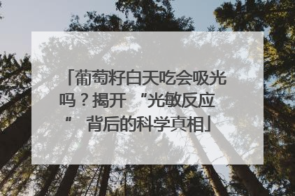 葡萄籽白天吃会吸光吗？揭开 “光敏反应” 背后的科学真相