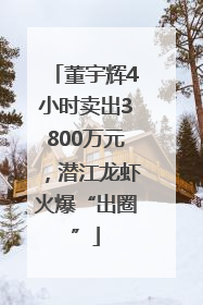 董宇辉4小时卖出3800万元，潜江龙虾火爆“出圈”