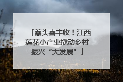 藠头喜丰收！江西莲花小产业撬动乡村振兴“大发展”