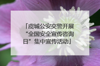虞城公安交警开展“全国安全宣传咨询日”集中宣传活动