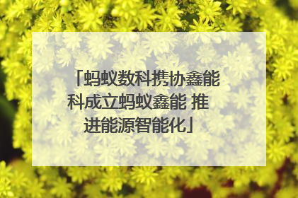 蚂蚁数科携协鑫能科成立蚂蚁鑫能 推进能源智能化