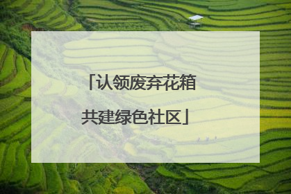 认领废弃花箱 共建绿色社区