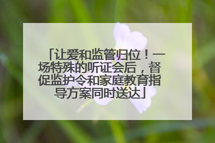 让爱和监管归位！一场特殊的听证会后，督促监护令和家庭教育指导方案同时送达