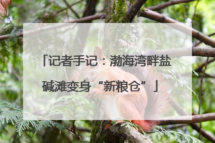 记者手记：渤海湾畔盐碱滩变身“新粮仓”